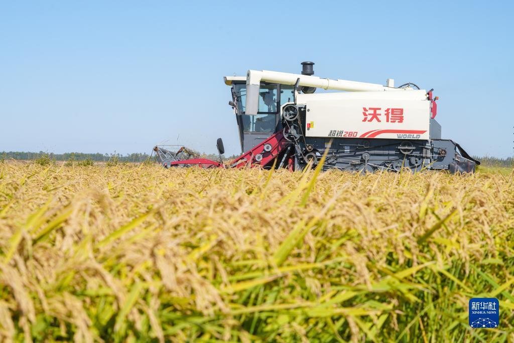怎么算是闲龙宝,庄龙宝